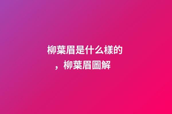 柳葉眉是什么樣的，柳葉眉圖解